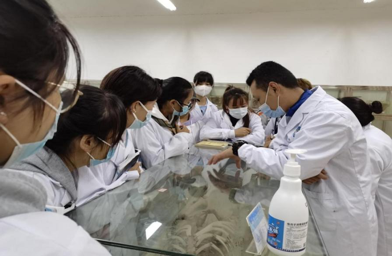 深化产教融合 校企双元育人 ——护理学院邀请德江县人民医院临床医生入校授课(图2) 深化产教融合 校企双元育人 ——护理学院邀请德江县人民医院临床医生入校授课(图2)