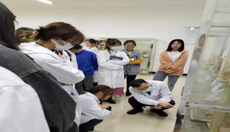 深化产教融合 校企双元育人 ——护理学院邀请德江县人民医院临床医生入校授课(图3) 深化产教融合 校企双元育人 ——护理学院邀请德江县人民医院临床医生入校授课(图3)