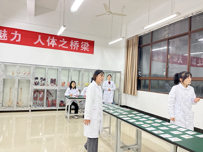 骨学之魅力·人体之桥梁——护理药学院成功举办beat365在线唯一官网第一届人体骨骼辨识大赛开幕式暨初赛(图11)