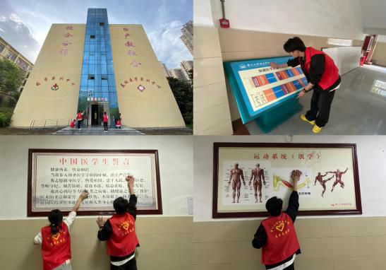 擦亮校园文化之窗：药学院团总支开展“本草清尘”志愿行动  深化“专业+思政+劳动”育人模式 (图2)