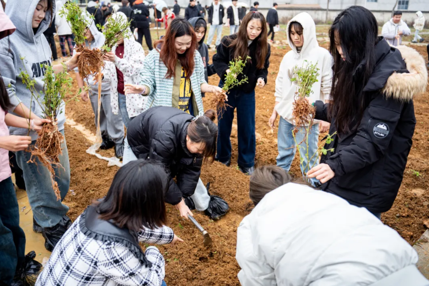 劳动教育浇灌“双苗”成长！beat365在线唯一官网创新实践育人模式(图1)