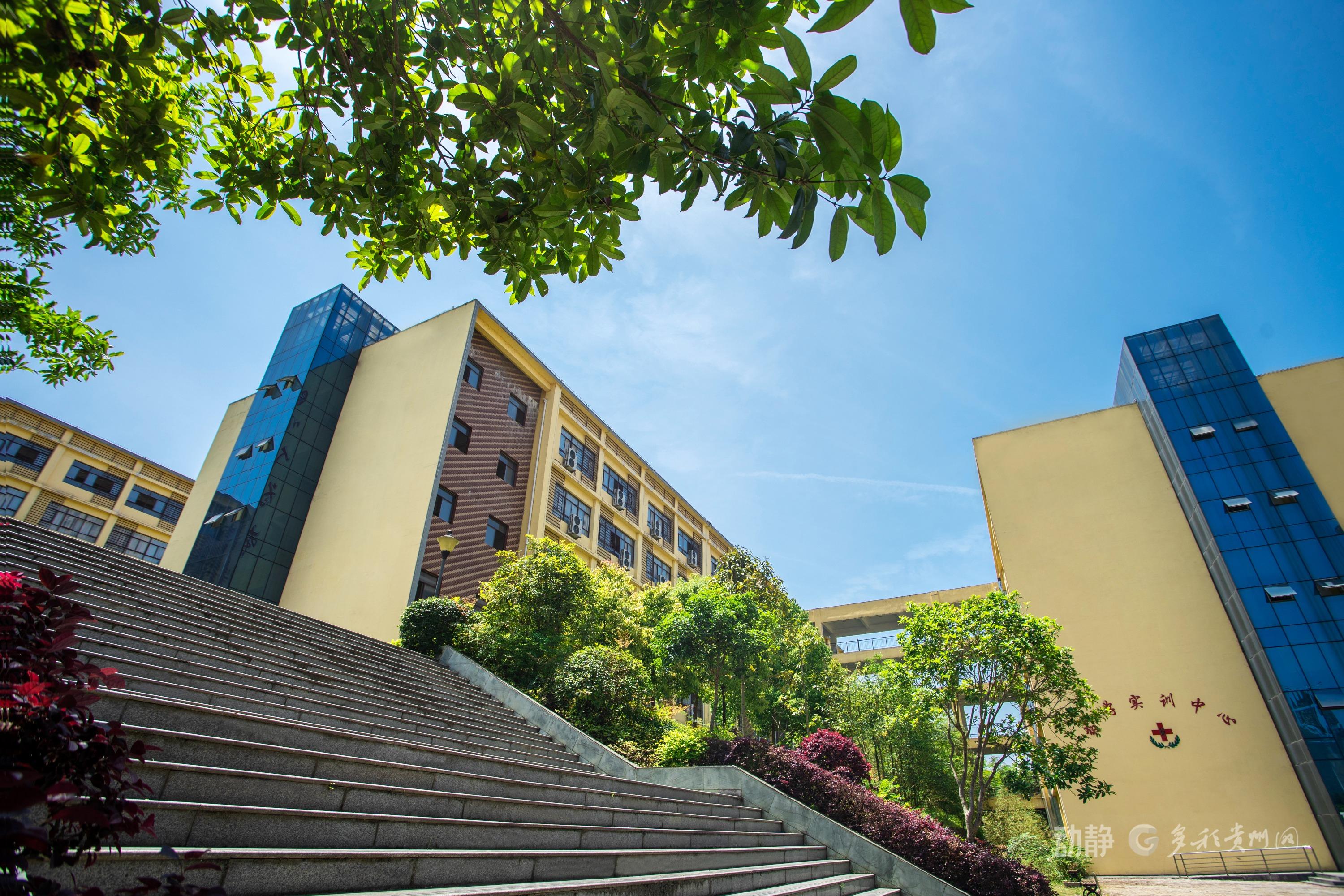 锚定职业教育航向 beat365在线唯一官网十年砥砺铸华章(图2)