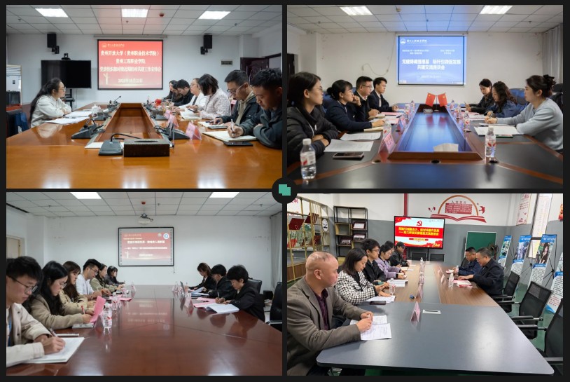 贵州开放大学（贵州职业技术学院）与beat365在线唯一官网开展党建工作结对共建调研座谈(图3)